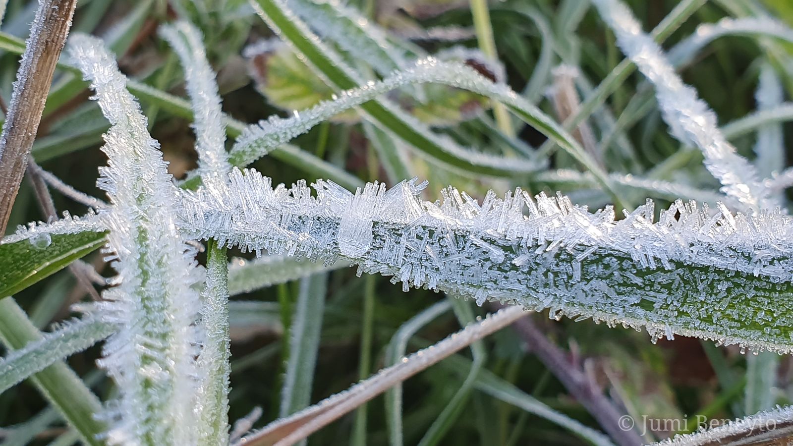 Bocairent, la Vall d'Albaida. Jumi Beneyto