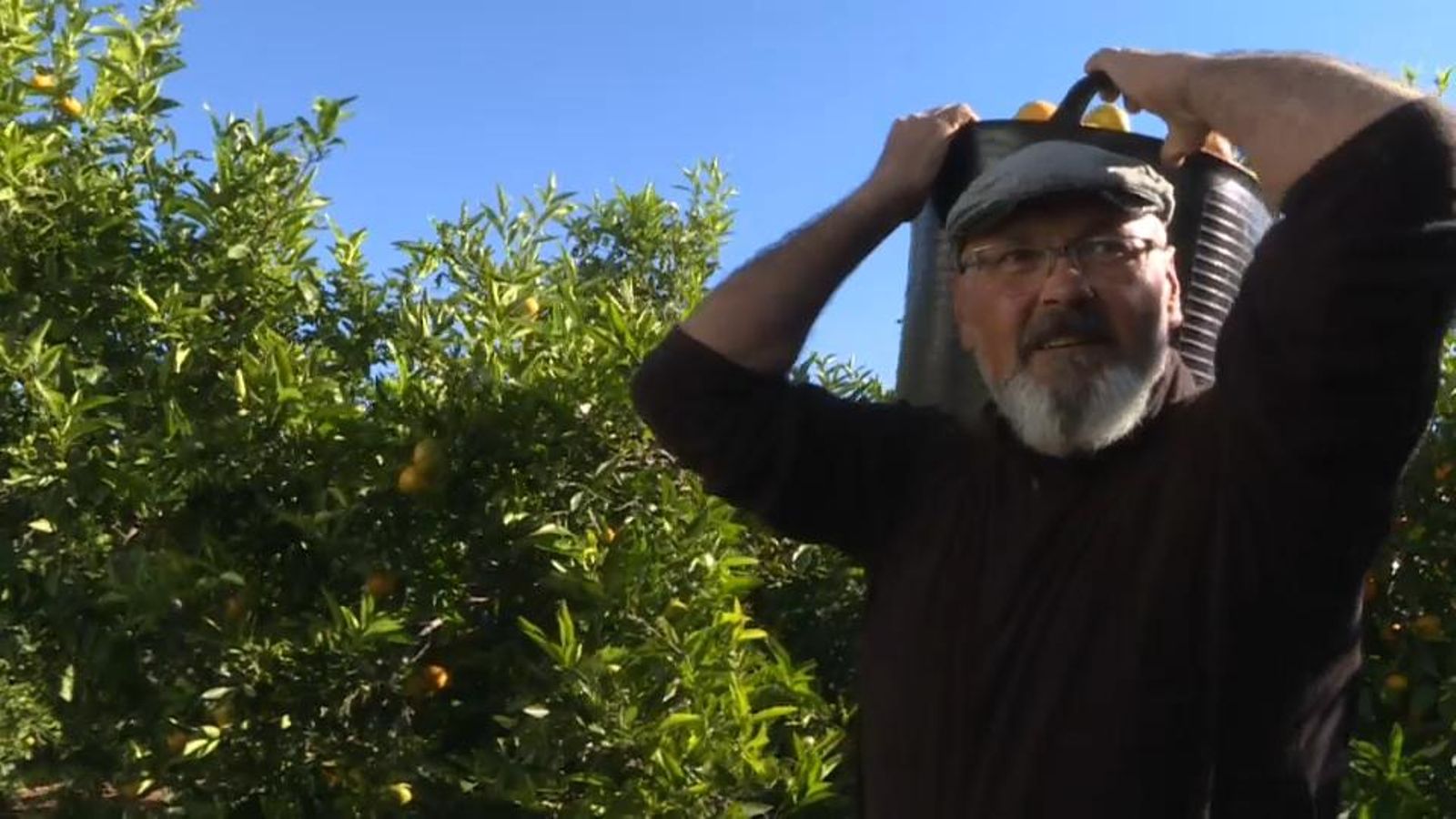 Els collidors citrícoles aconsegueixen un preacord per a apujar un 1% els salaris