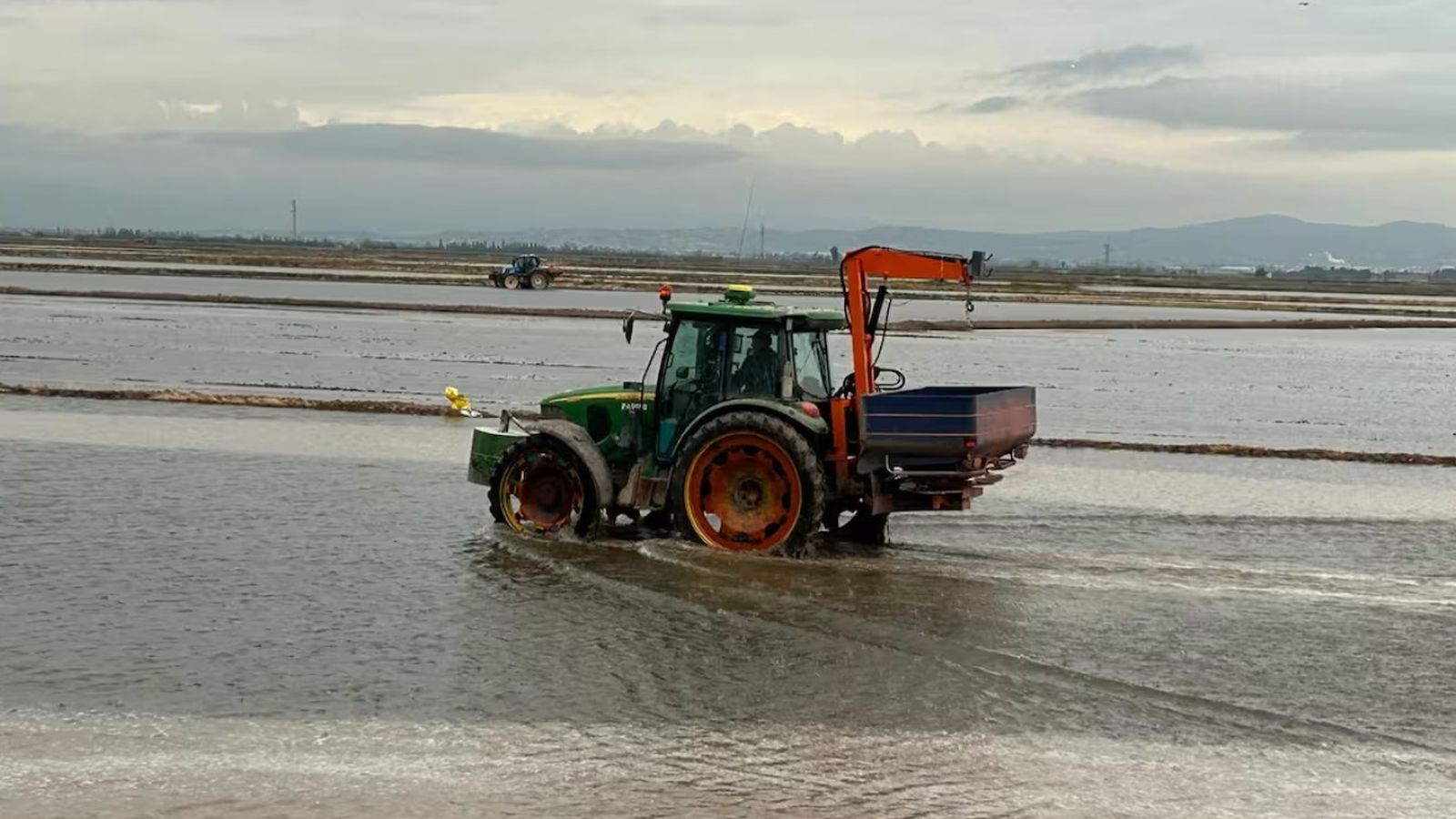 AVA-Asaja alerta que la sembra de l’arròs serà la "més cara" de la història per l’increment dels costos de producció
