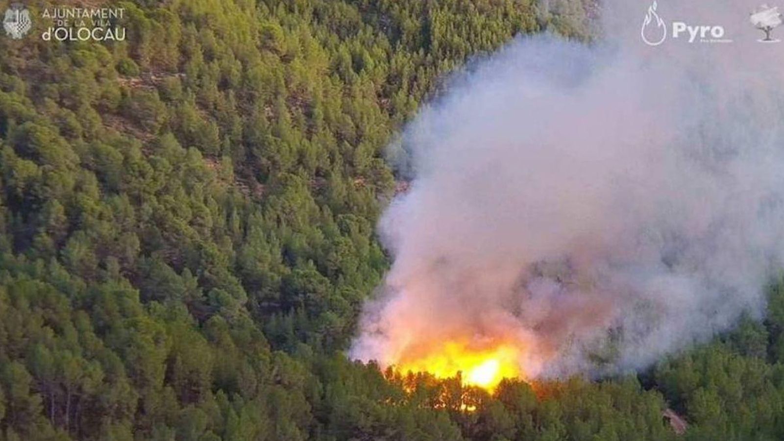 Imatge de les huit de la vesprada del dissabte de la càmera tèrmica municipal que ha permés localitzar ràpidament l'incendi