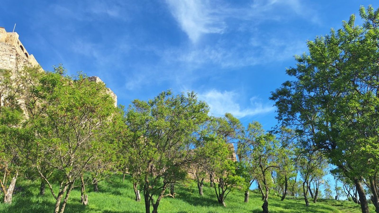 JOAN AMELA, Morella, els Ports