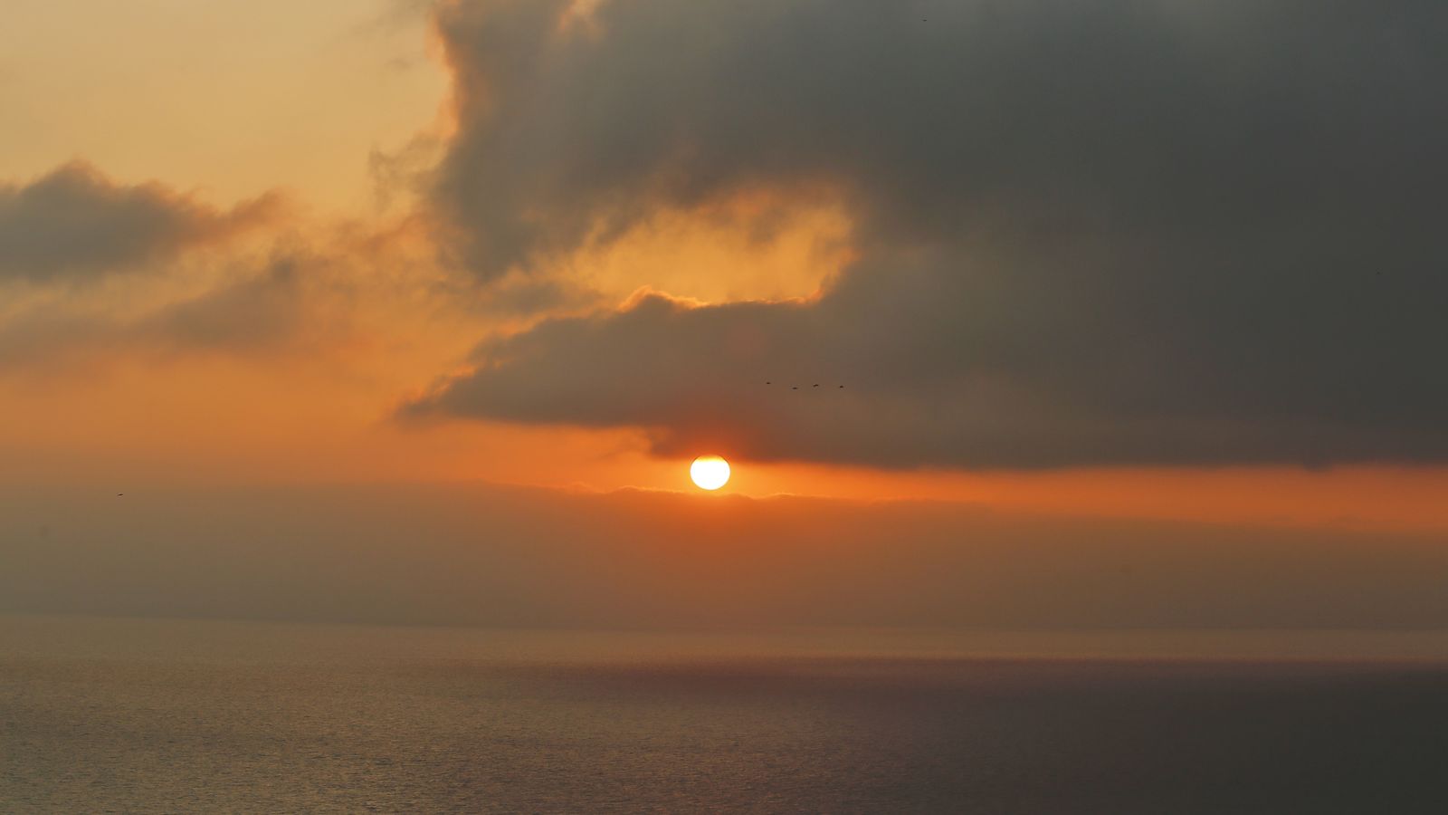 Torrevella/Torrevieja, el Baix Segura