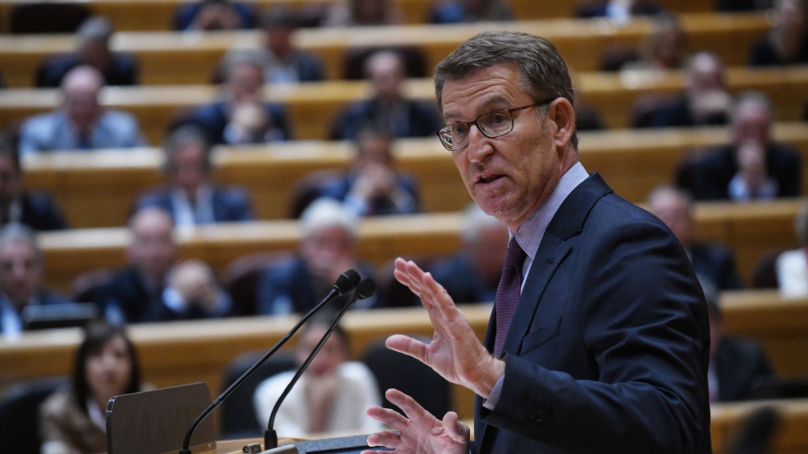 El president del Partit Popular, Alberto Núñez Feijóo, durant un ple del Senat