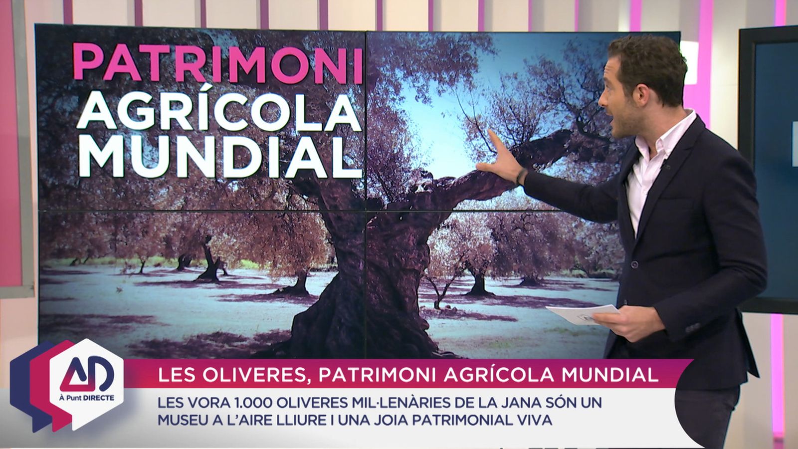 Patrimoni agrícola mundial