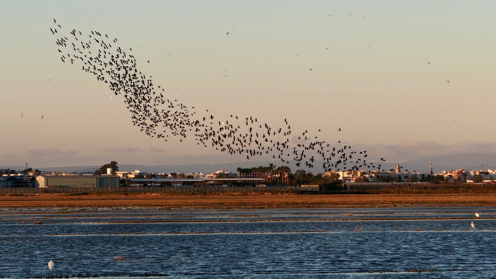 SUECA, LA RIBERA BAIXA