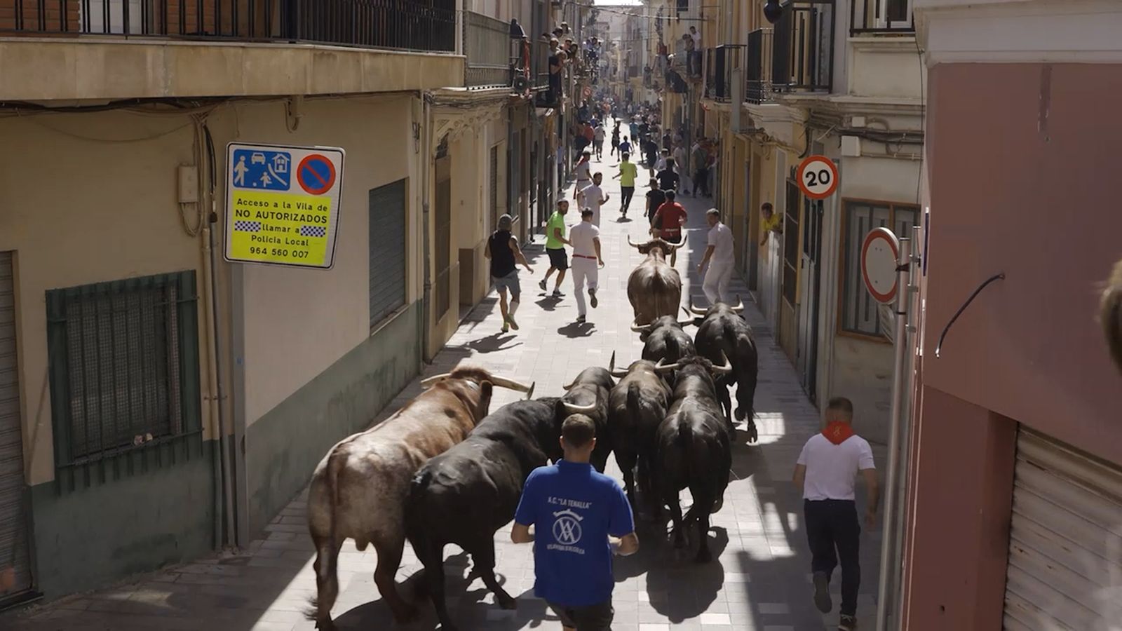 A Almassora hi ha molta tradició bouera i és un dels actes més importants de les seues festes