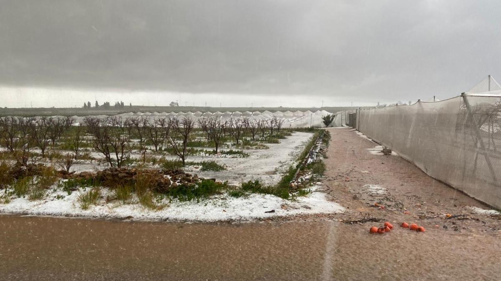 El Consell de Ministres aborda les ajudes per a pal·liar els danys de la borrasca Gloria