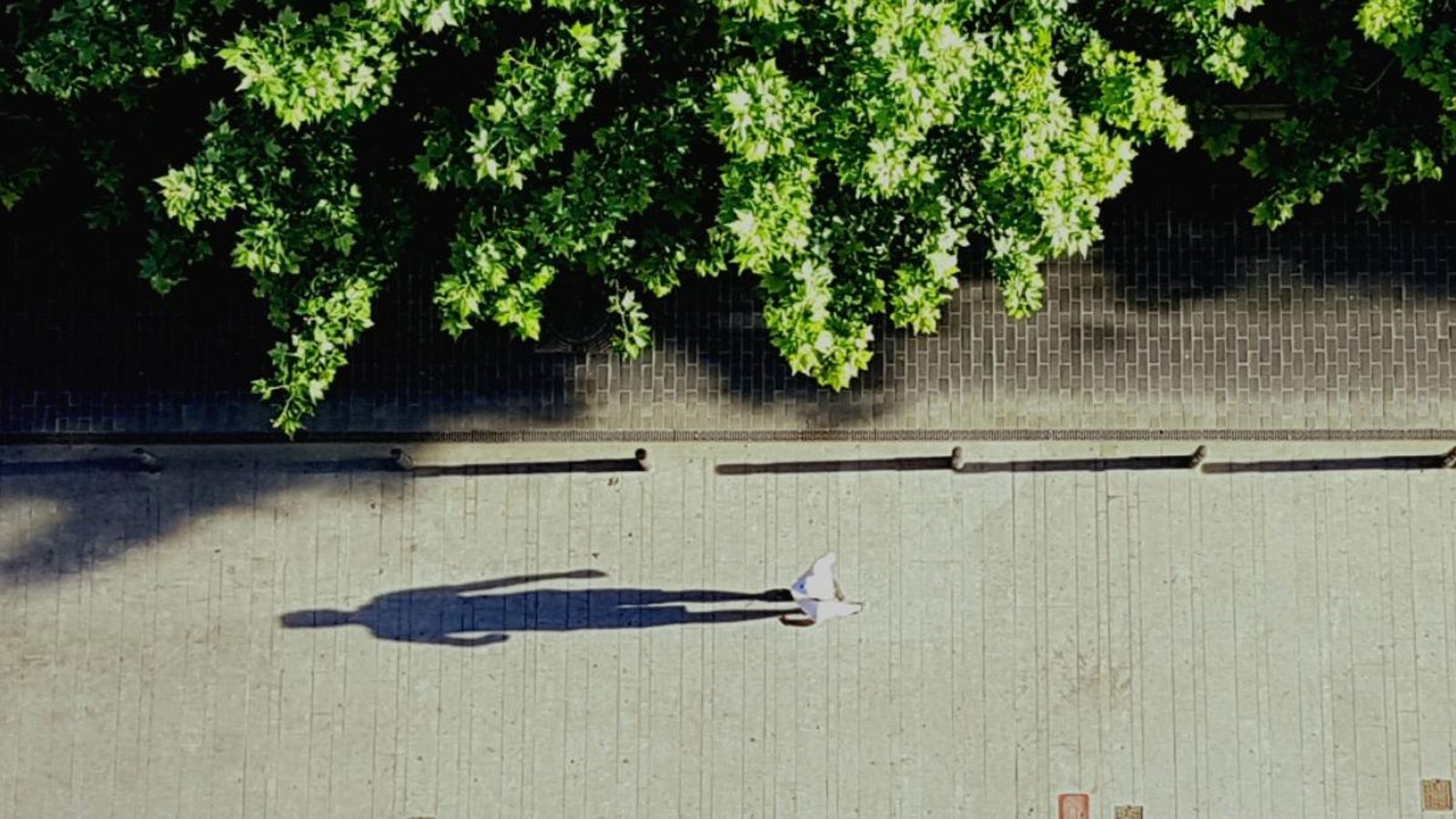 Una de les imatges de la mostra “De la pantalla al carrer. Imatges del confinament”, que organitza l’Ajuntament de Gandia a partir de fotos de la ciutadania