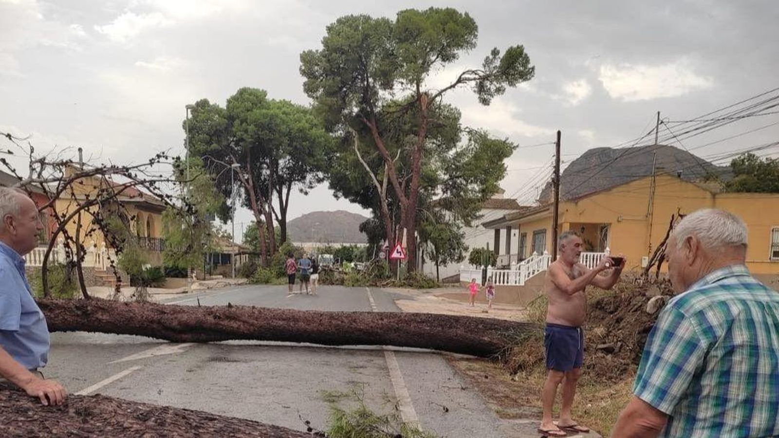 arbres caiguts baix segura