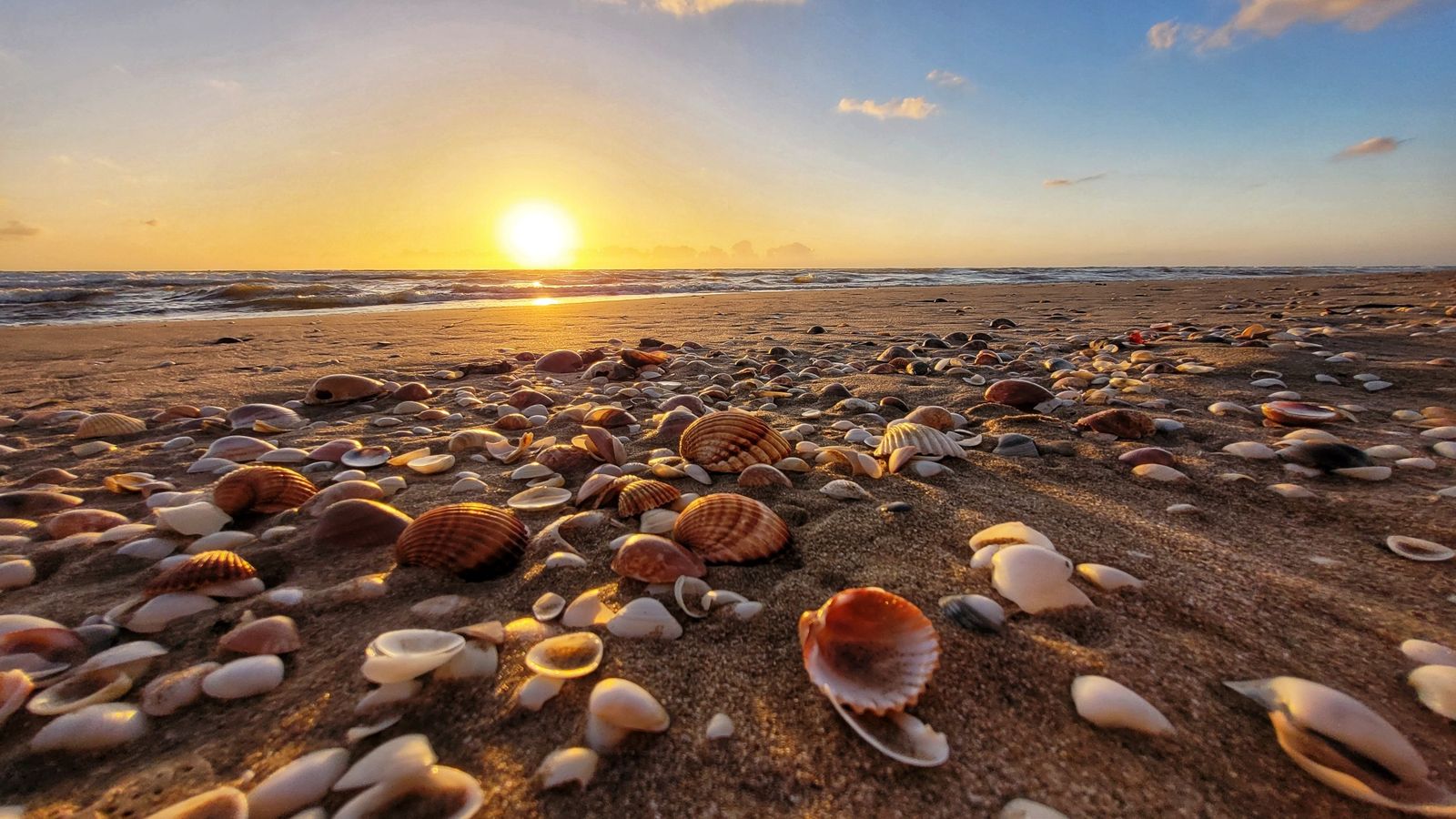 MARENY DE BARRAQUETES