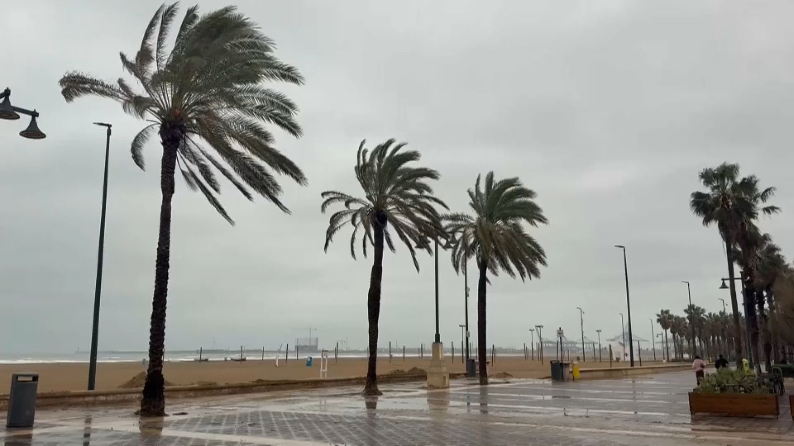 La pluja i el vent han marcat la jornada des del punt de vista meteorològic en bona part del territori