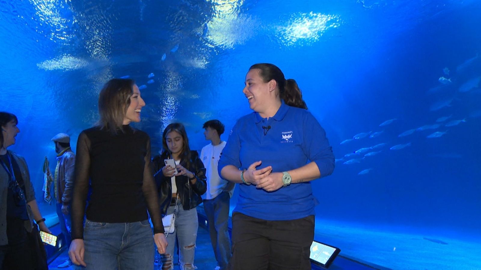 Coneixem els tauronets que acaben de nàixer a l'Oceanogràfic