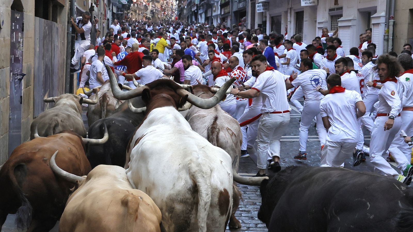 Els bous a la seua arribada a la corba el carrer de l'Estafeta durant el primer 'encierro' dels Santfermins