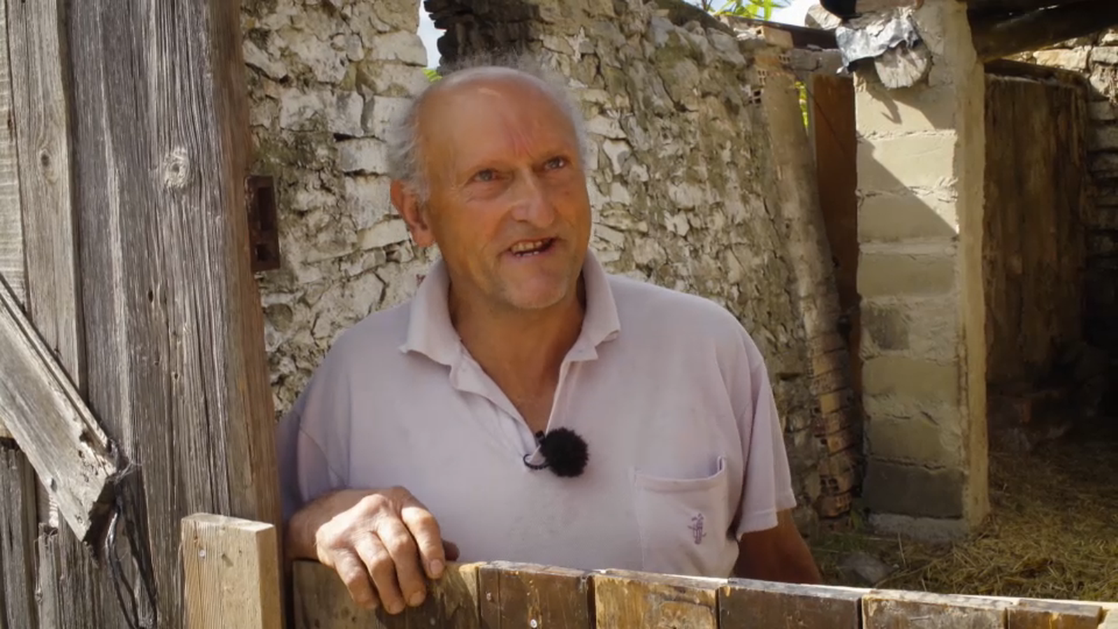 Vicente, el fidel ramader del poble