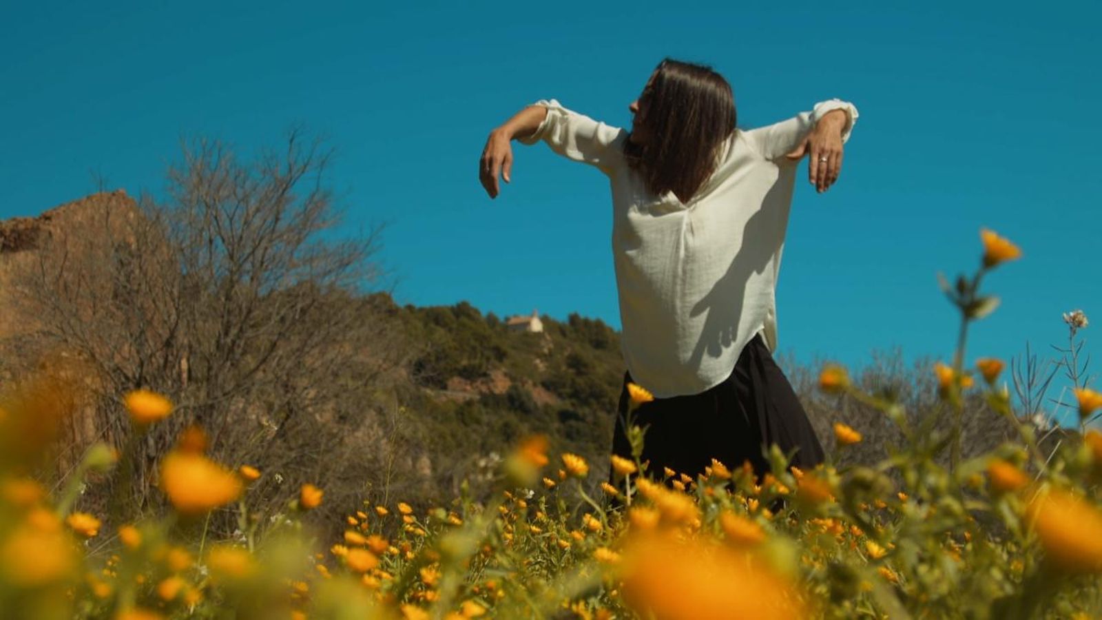 Dansa amb el vocabulari!