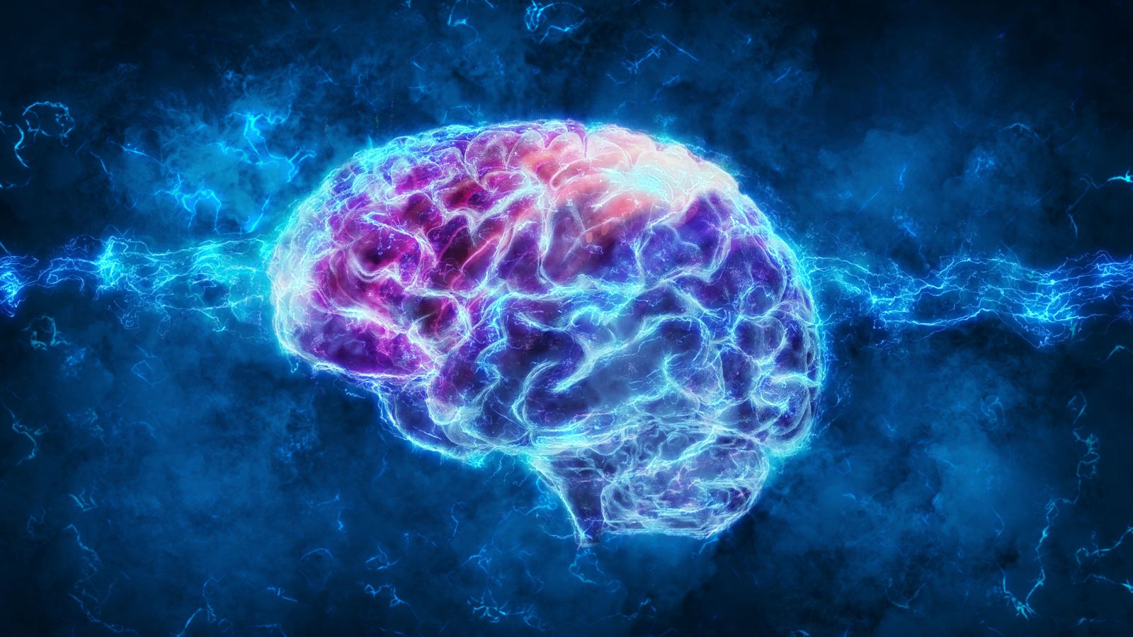01.02.2022 | Ciència: el cervell i la generació de les neurones