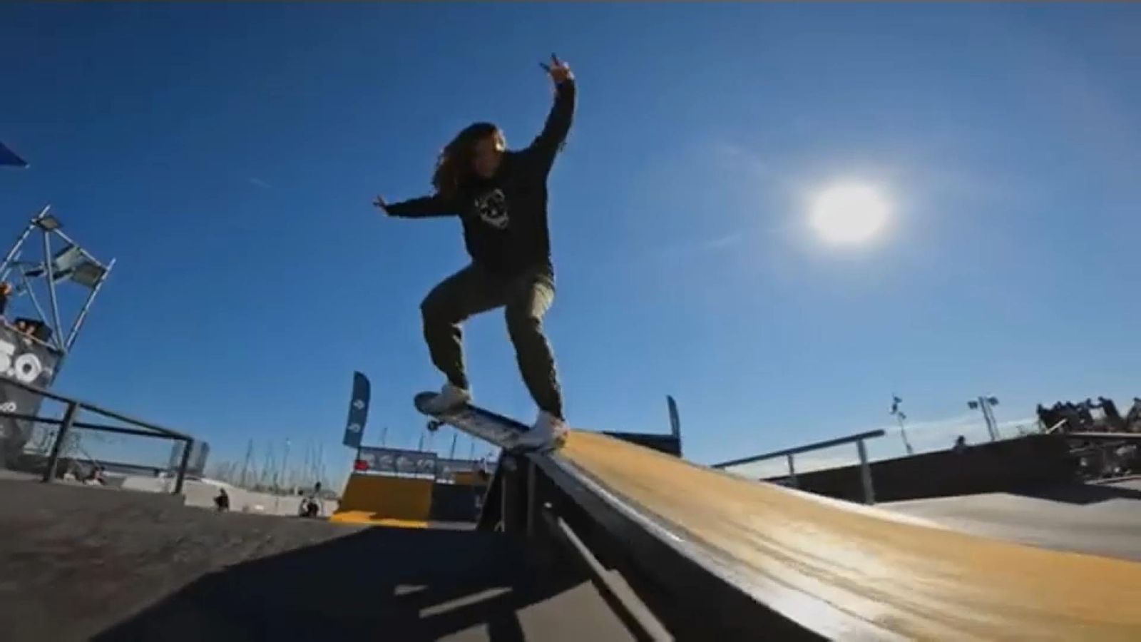 València acull VESO