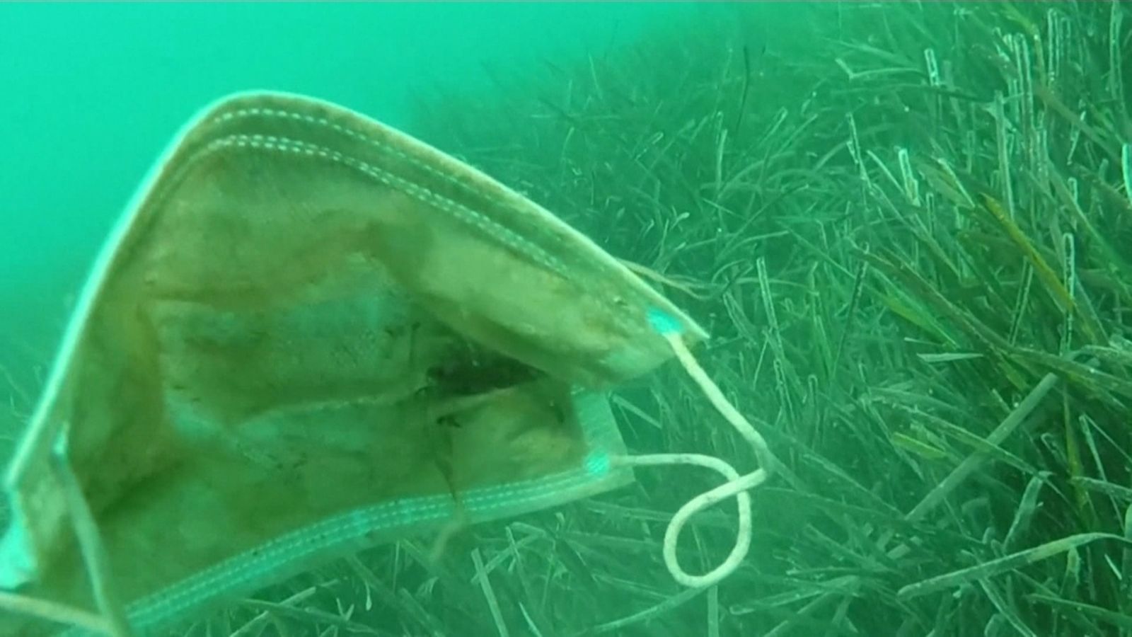 Aquest dimecres se celebra el Dia Mundial dels Oceans