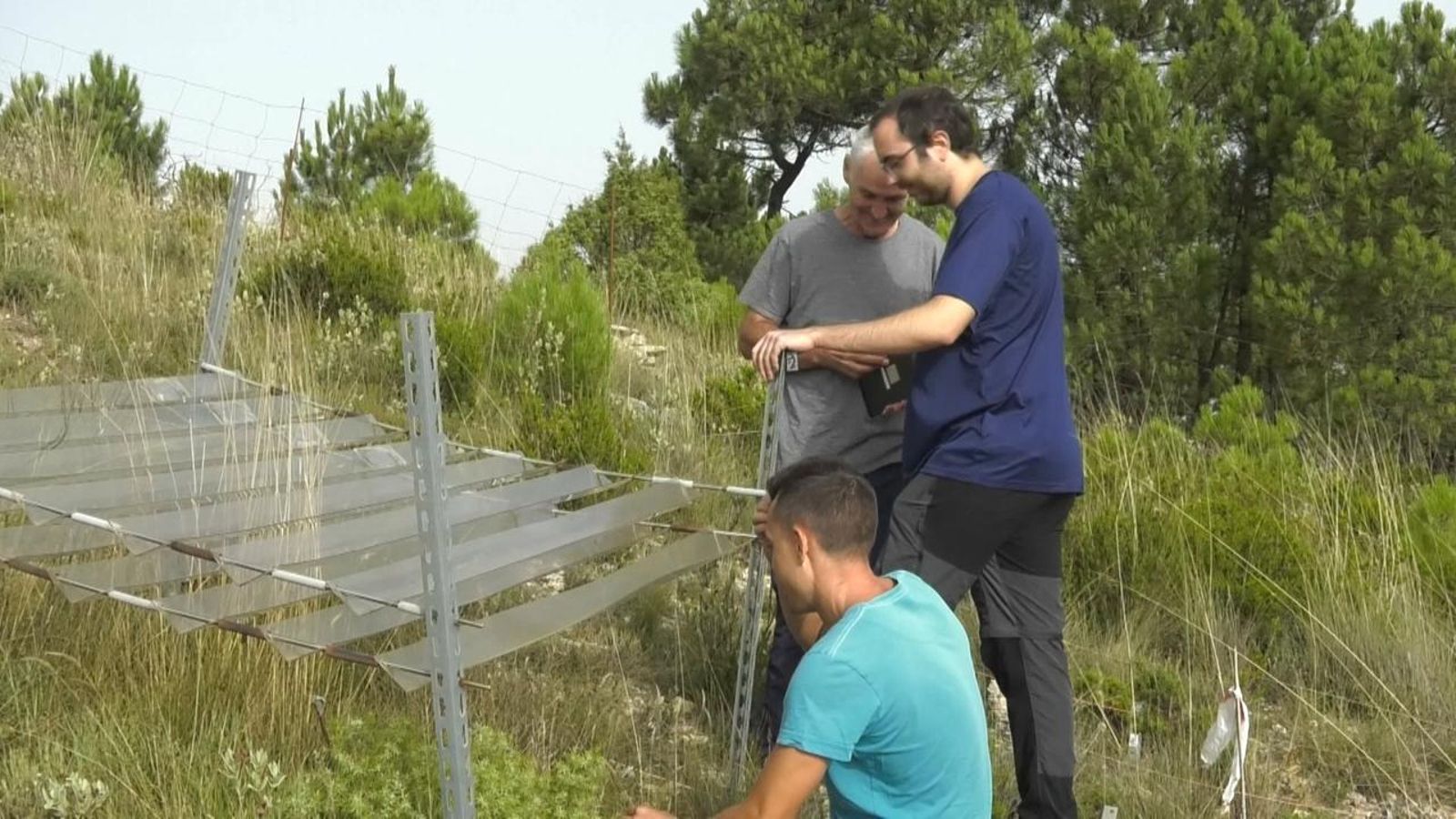 Tècnics del CEAM, treballant en una de les parcel·les de Teresa de Cofrentes