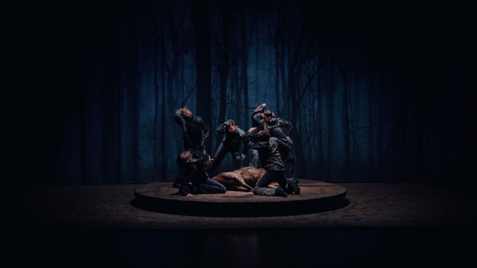 Dansa València, entre el moviment i la paràlisi