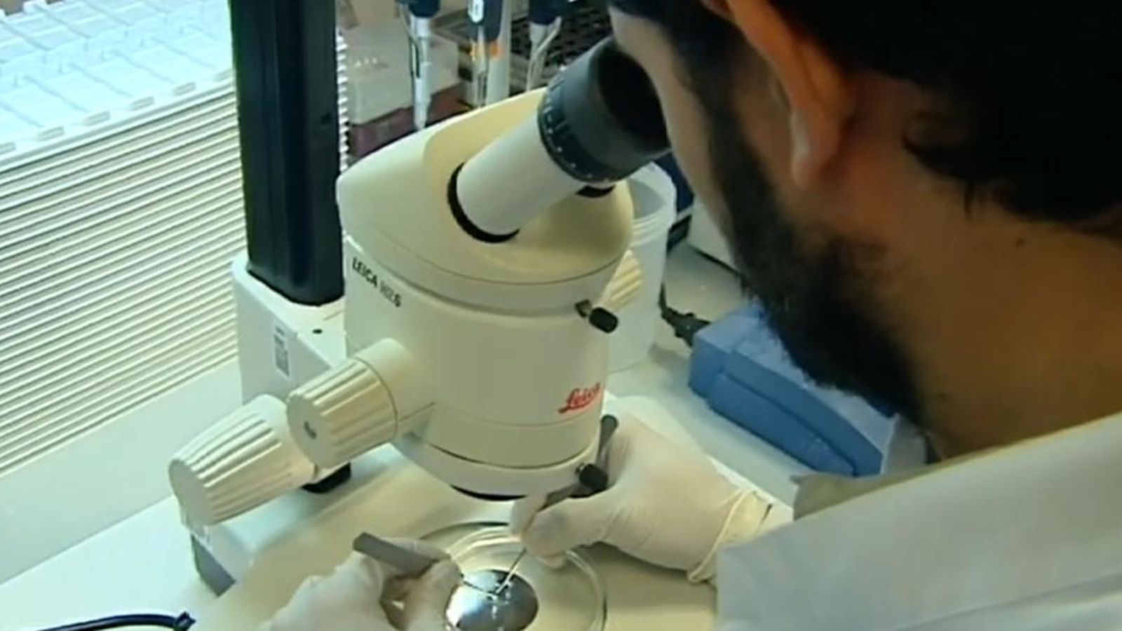 Un investigador realitza tasques al laboratoris en una imatge d'arxiu