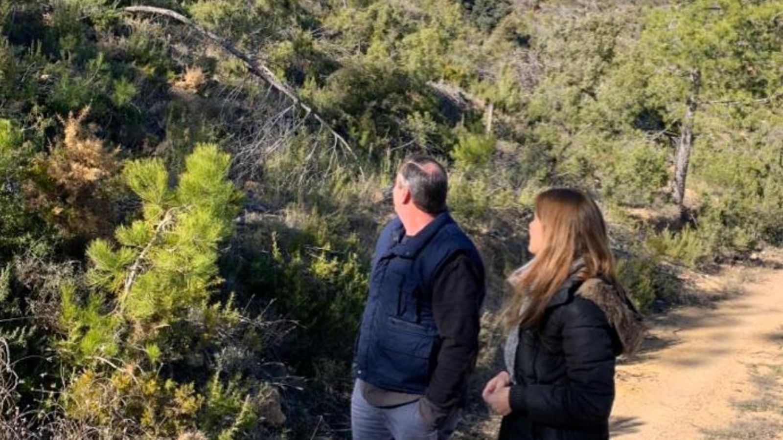 Elisa Díaz s'ha desplaçat fins a Montán, a l'Alt Millars, on ha comprovat la situació de la zona, amb "centenars de pins caiguts"