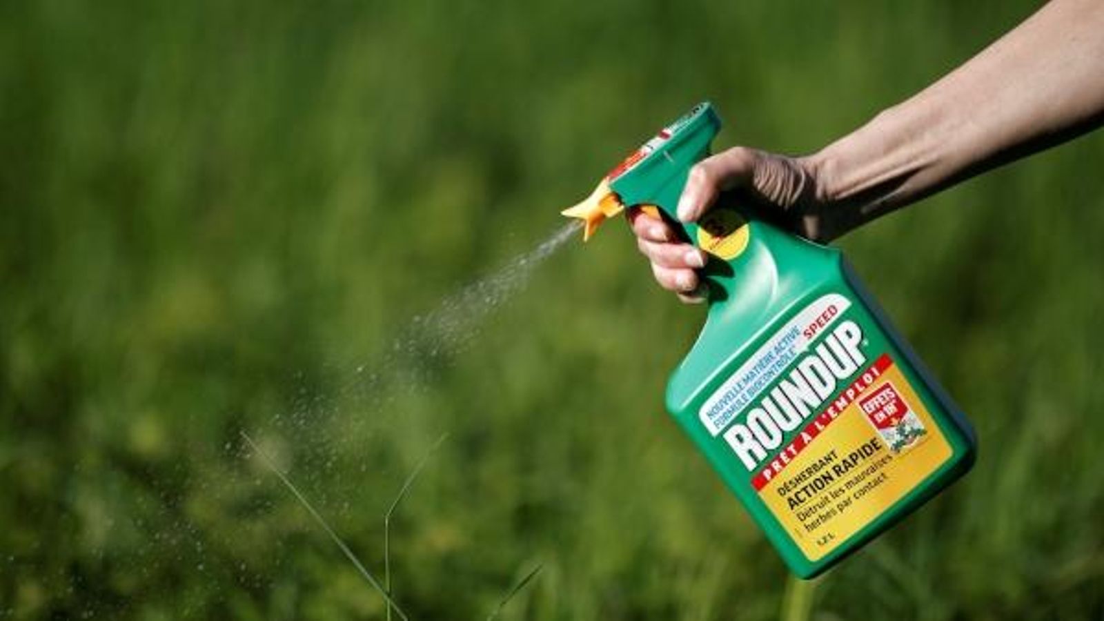Imatge de l'herbicida Roundup