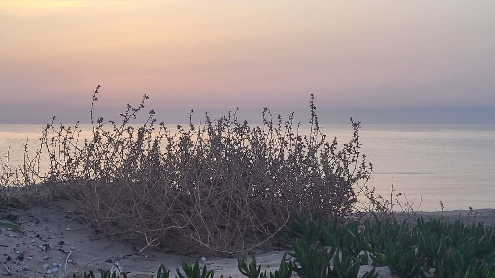 5. SUECA, LA RIBERA BAIXA