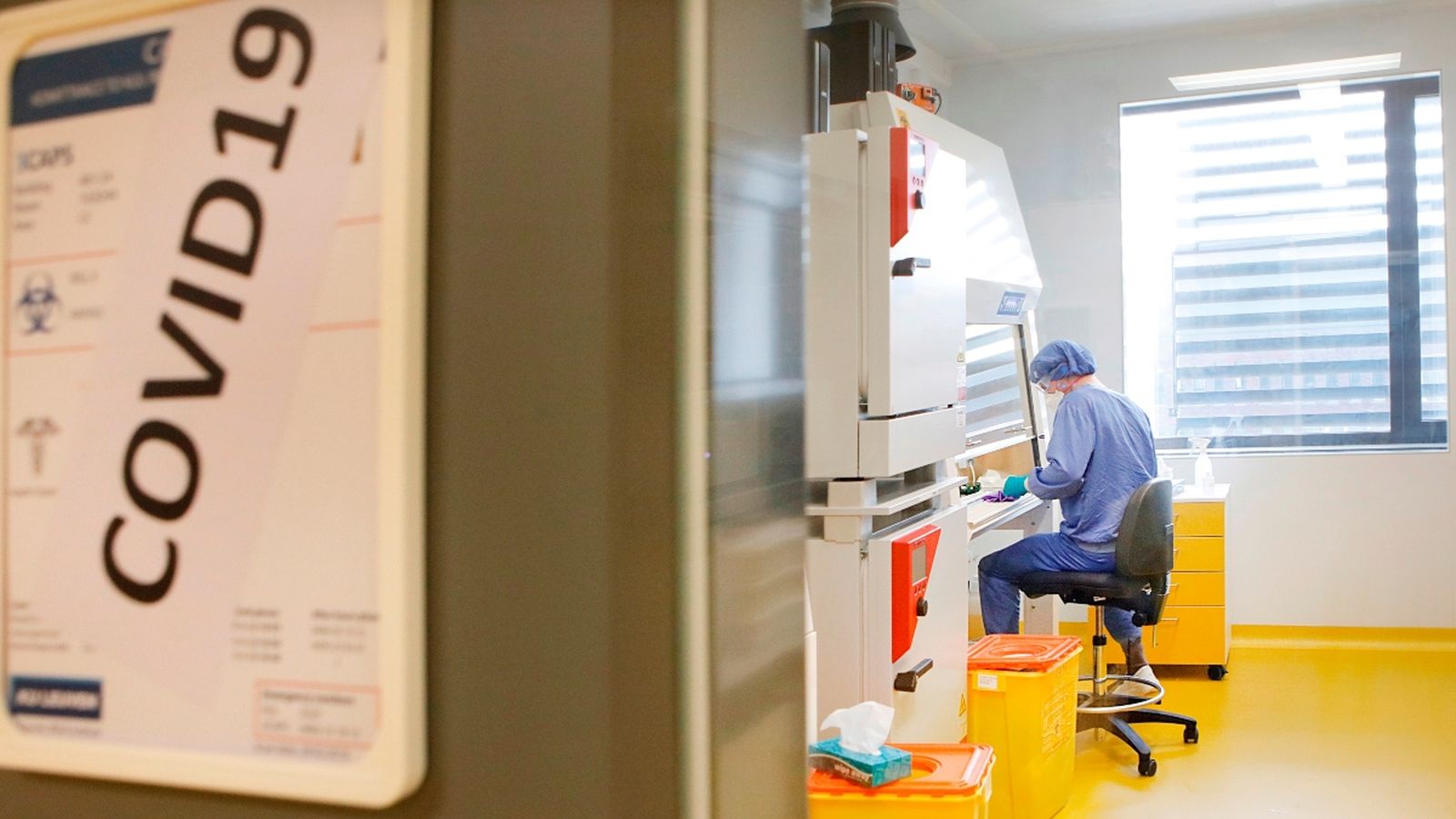 La investigadora espanyola Lorena Sánchez Felipe treballant a l'Institut Rega de la Universitat de Lovaina (Bèlgica)