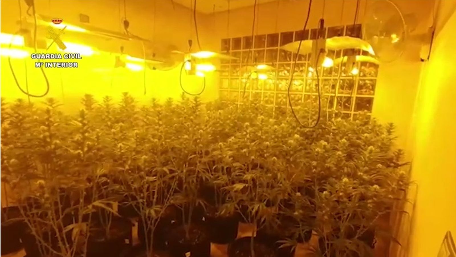 Operació de la Guàrdia Civil