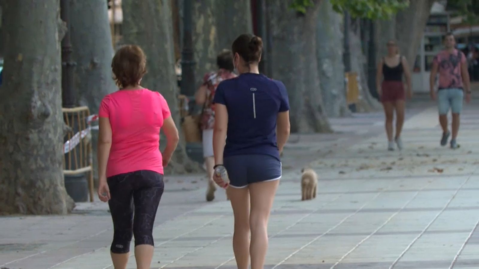 Imatge de Xàtiva, aquest dimecres