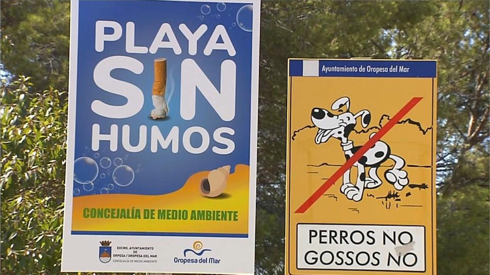 Orpesa va obrir el debat de les platges valencianes sense fum