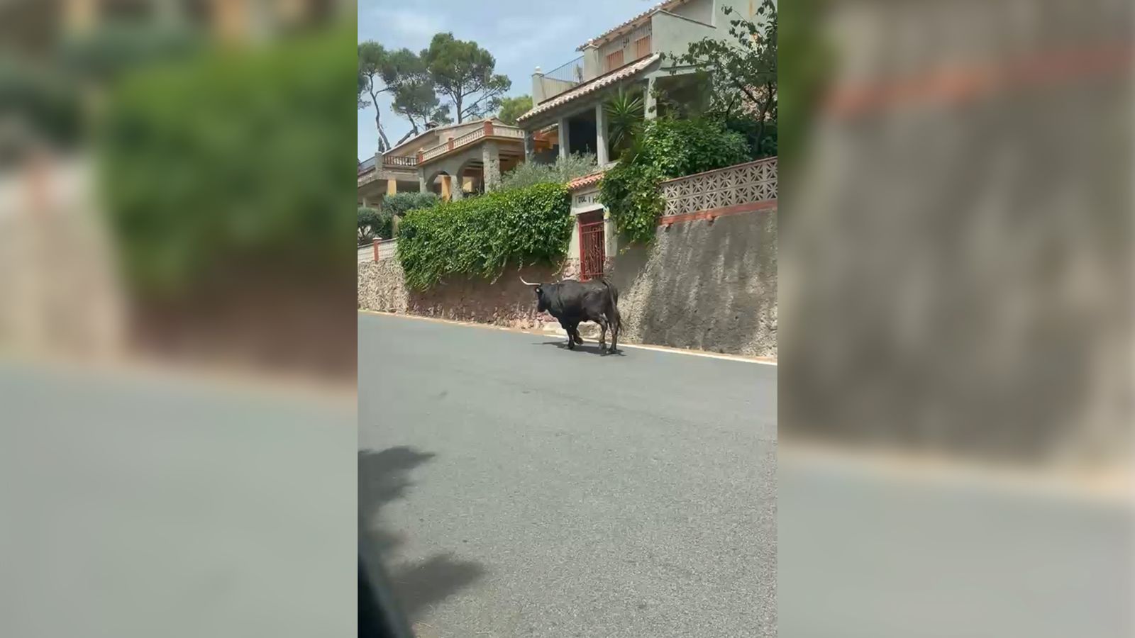 Bou escapat a Gátova