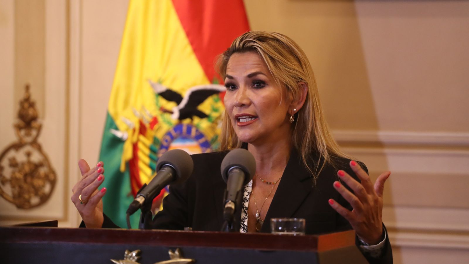Jeanine Áñez presenta una proposta d\'eleccions al parlament bolivià