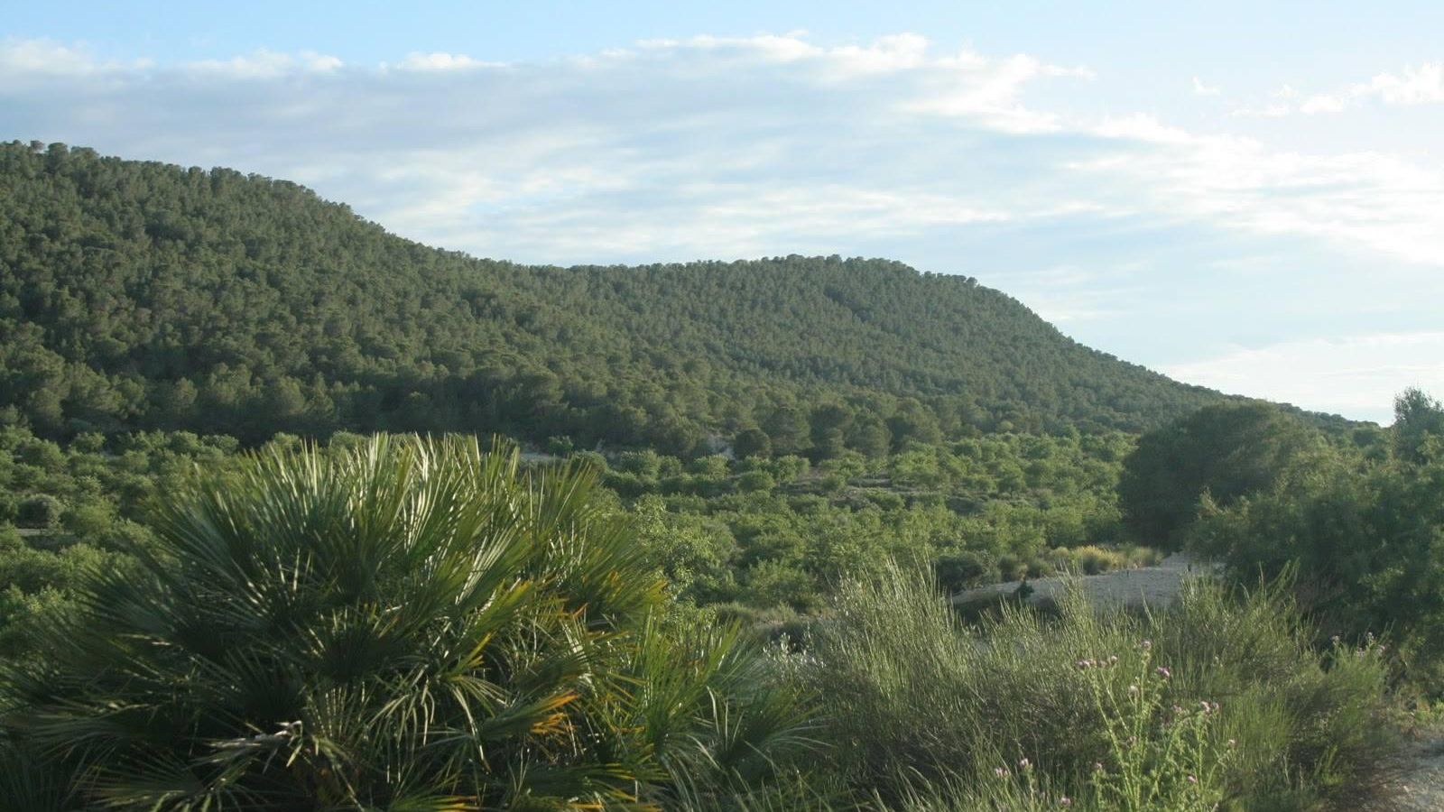 Imatge de la serra d'Escalona