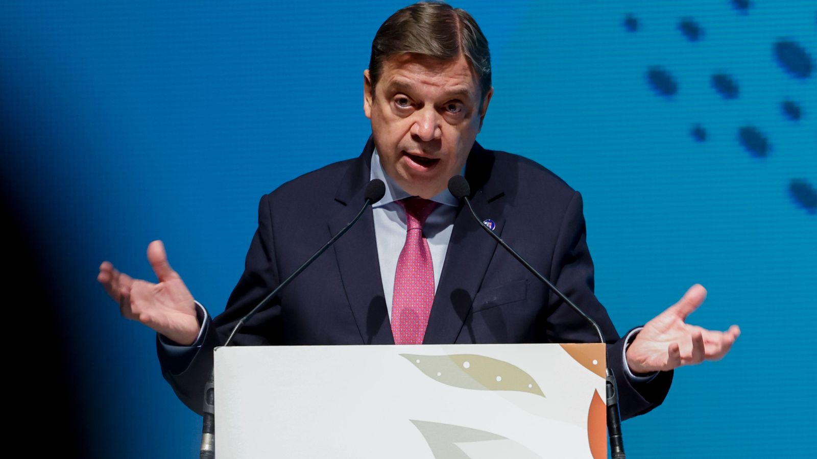 El ministre Luis Planas durant la seua intervenció en la inauguració de la II Trobada Internacional Renowagro, a València