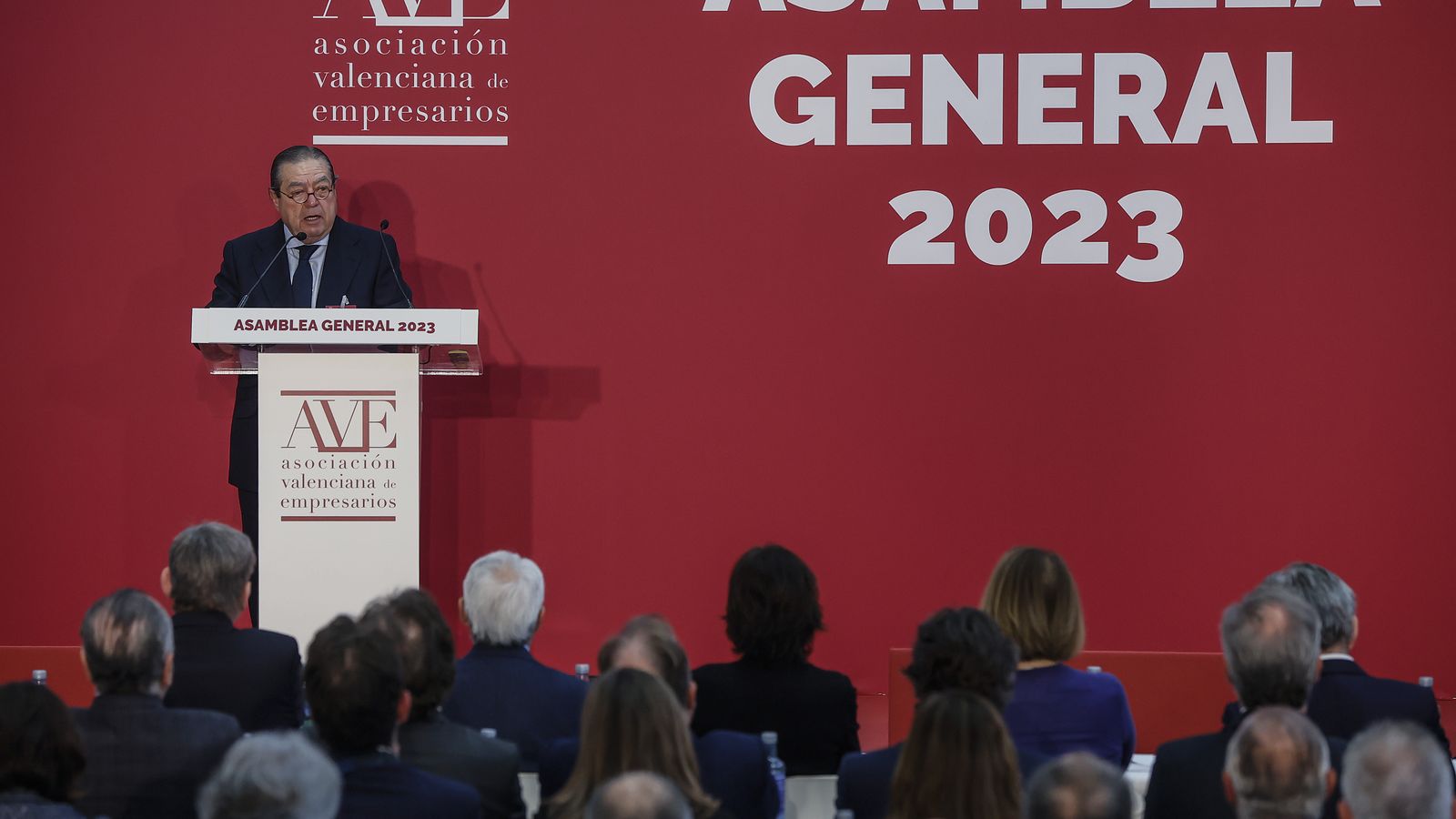 Un moment de l'Assemblea General d'AVE, aquest dimecres