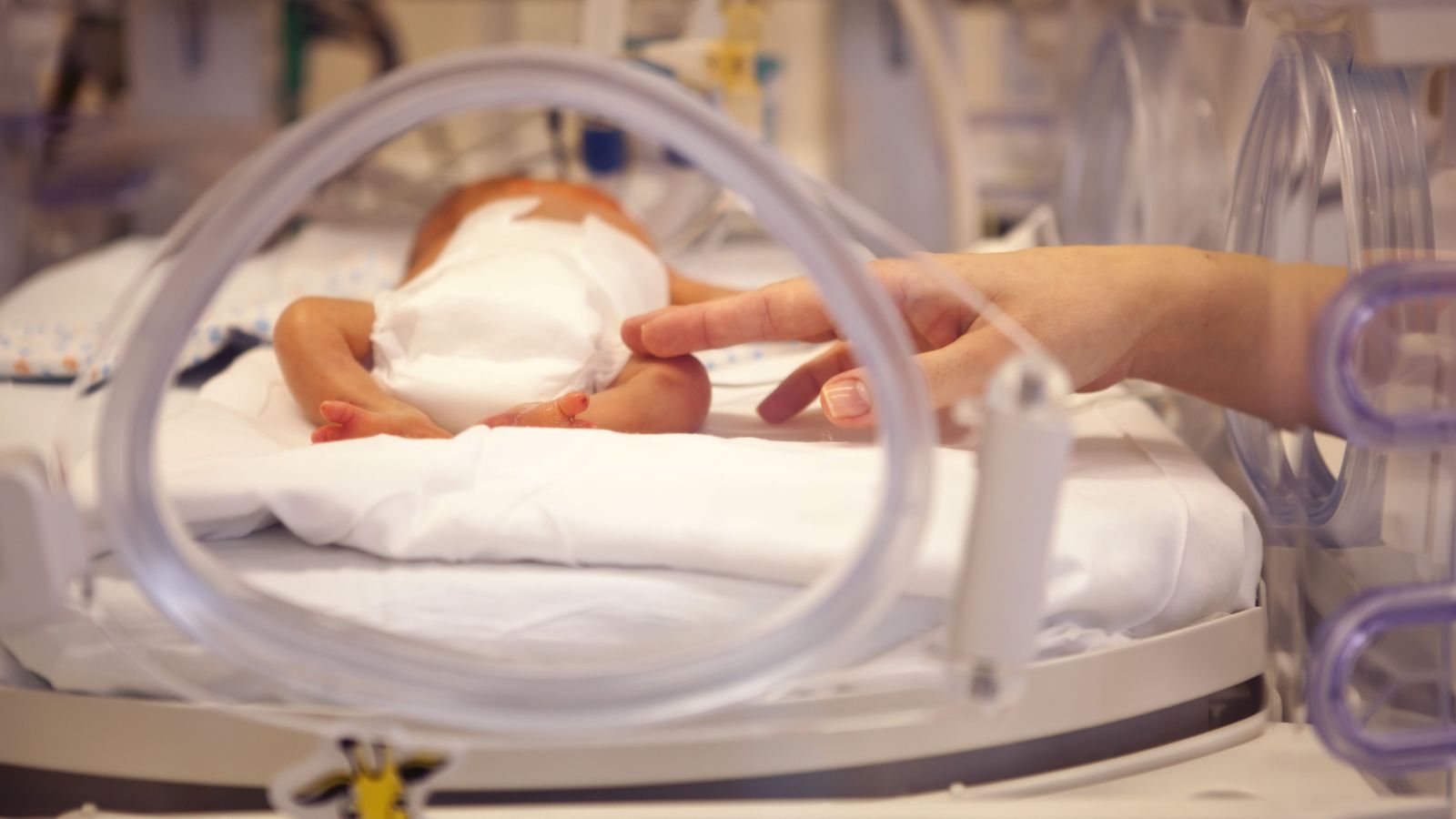 17.11.2021 | Dia Mundial dels xiquets i les xiquetes prematurs