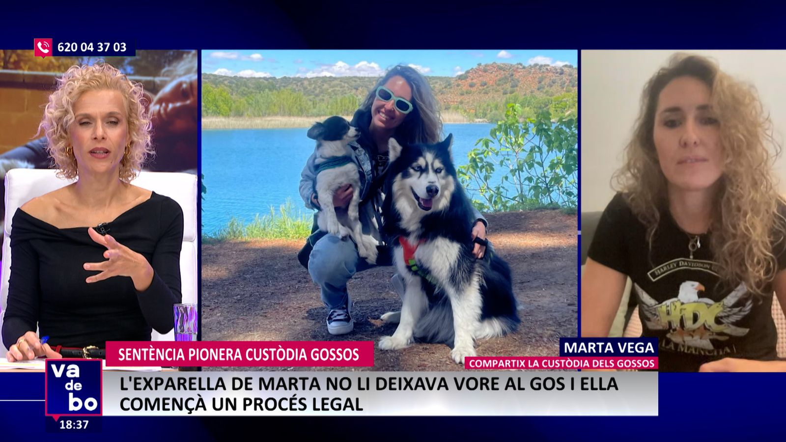 custòdia gossos