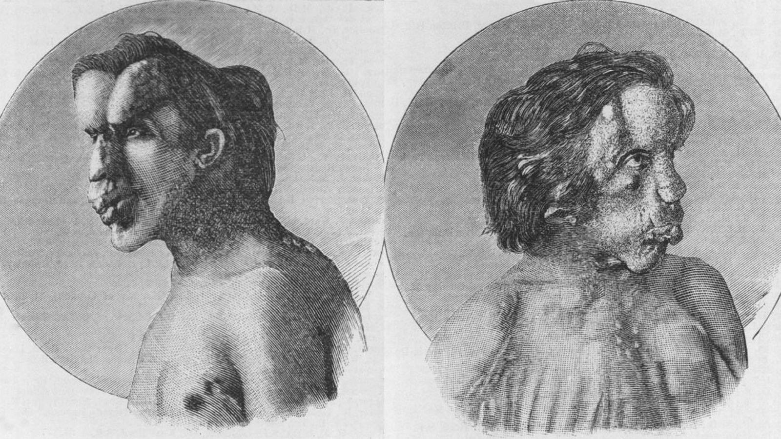 Les aparences enganyen?