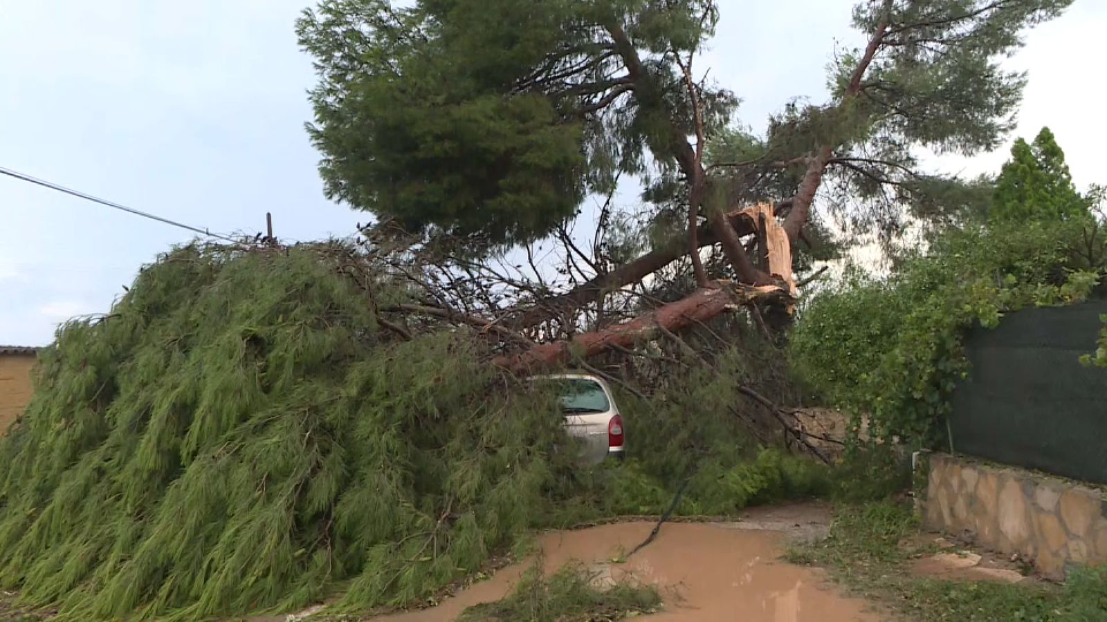 En imatge, un vehicle atrapat per un pi, tombat per la plutja i el vent, a Benaguasil (Camp de Túria)