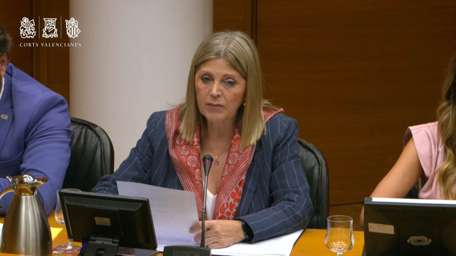 La consellera d'Educació, Carmen Ortí, en la comissió de les Corts