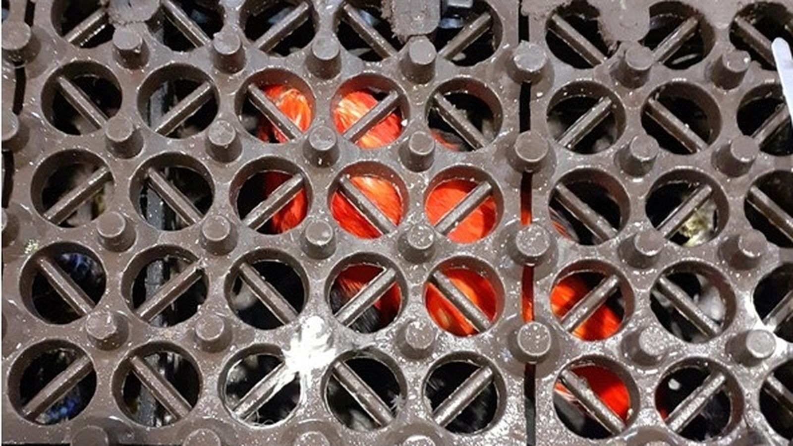 Caixes en les quals viatjaren les aus dins de les maletes des de l'Havana