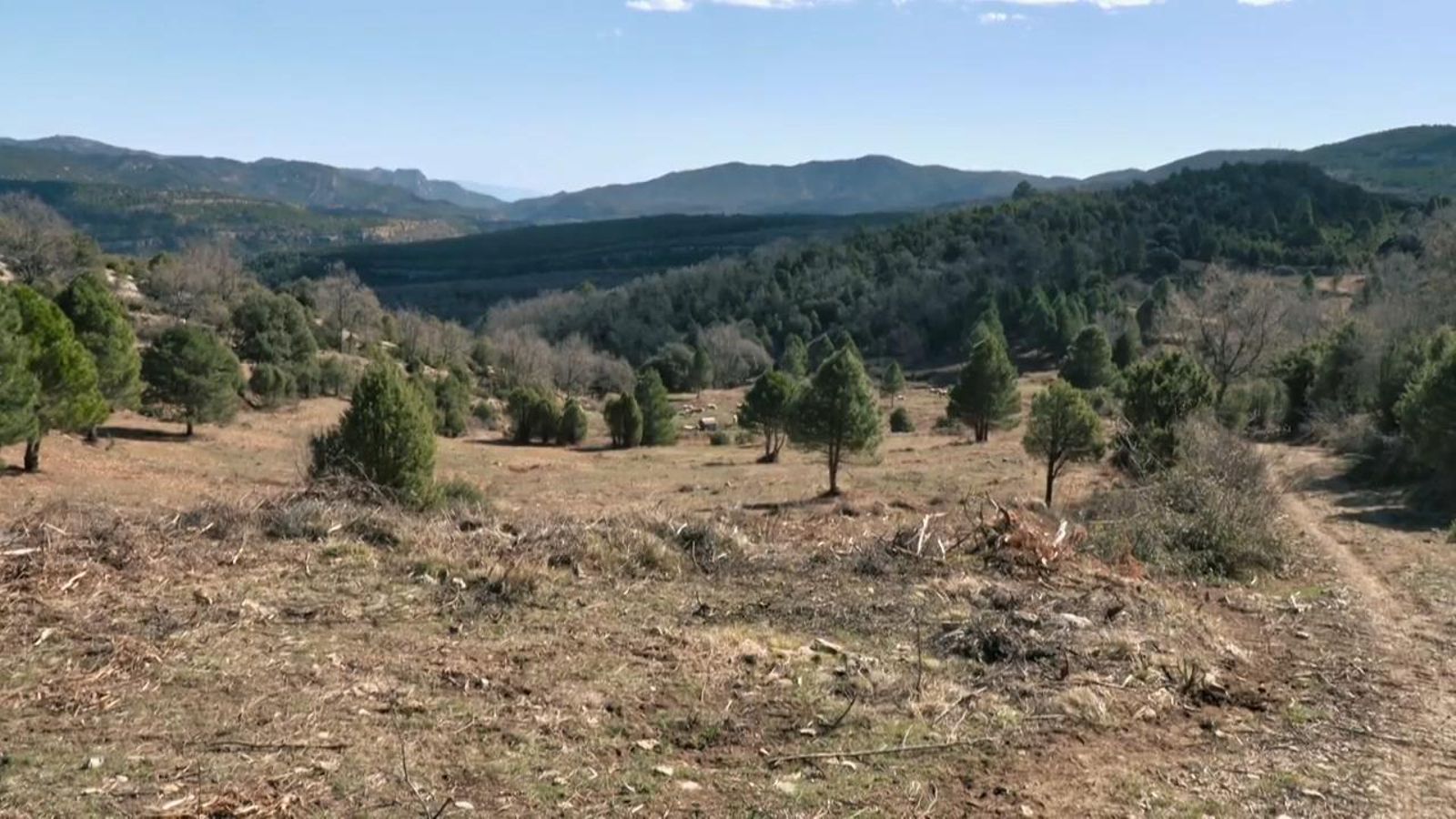 De mar i bancal | La primavera en flor