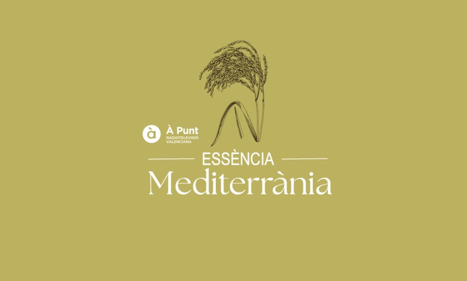 Imatge_Essència Mediterrània