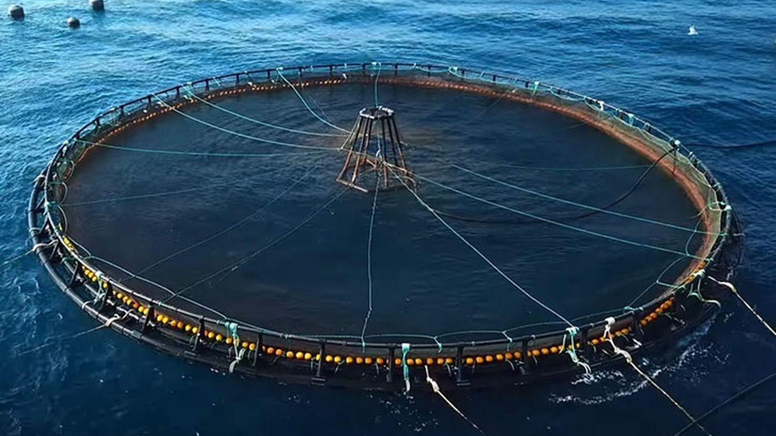 Imatge d'un dels projectes d'estudi inclosos en ThinkinAzul