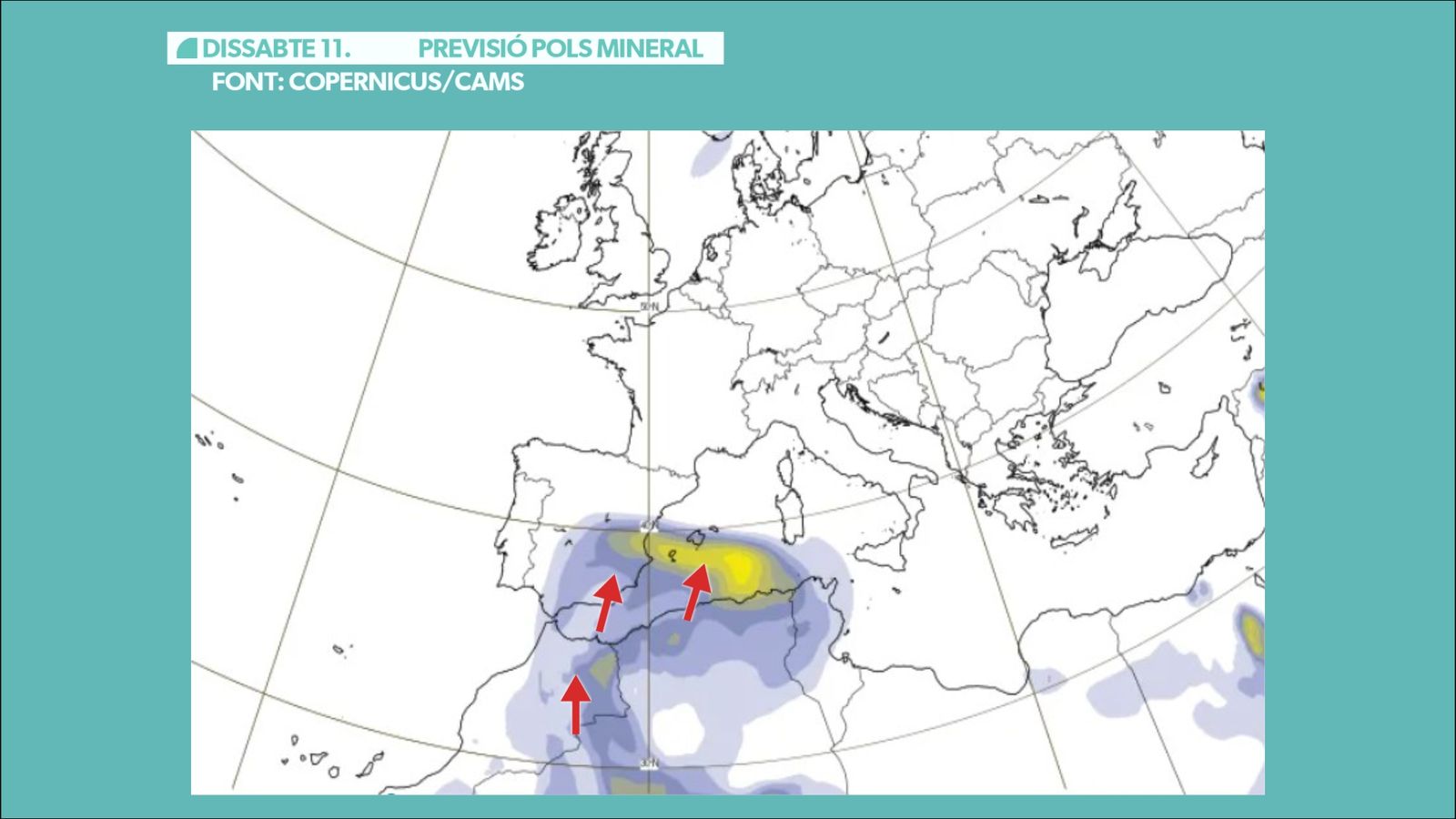 POLS MINERAL DISSABTE 11