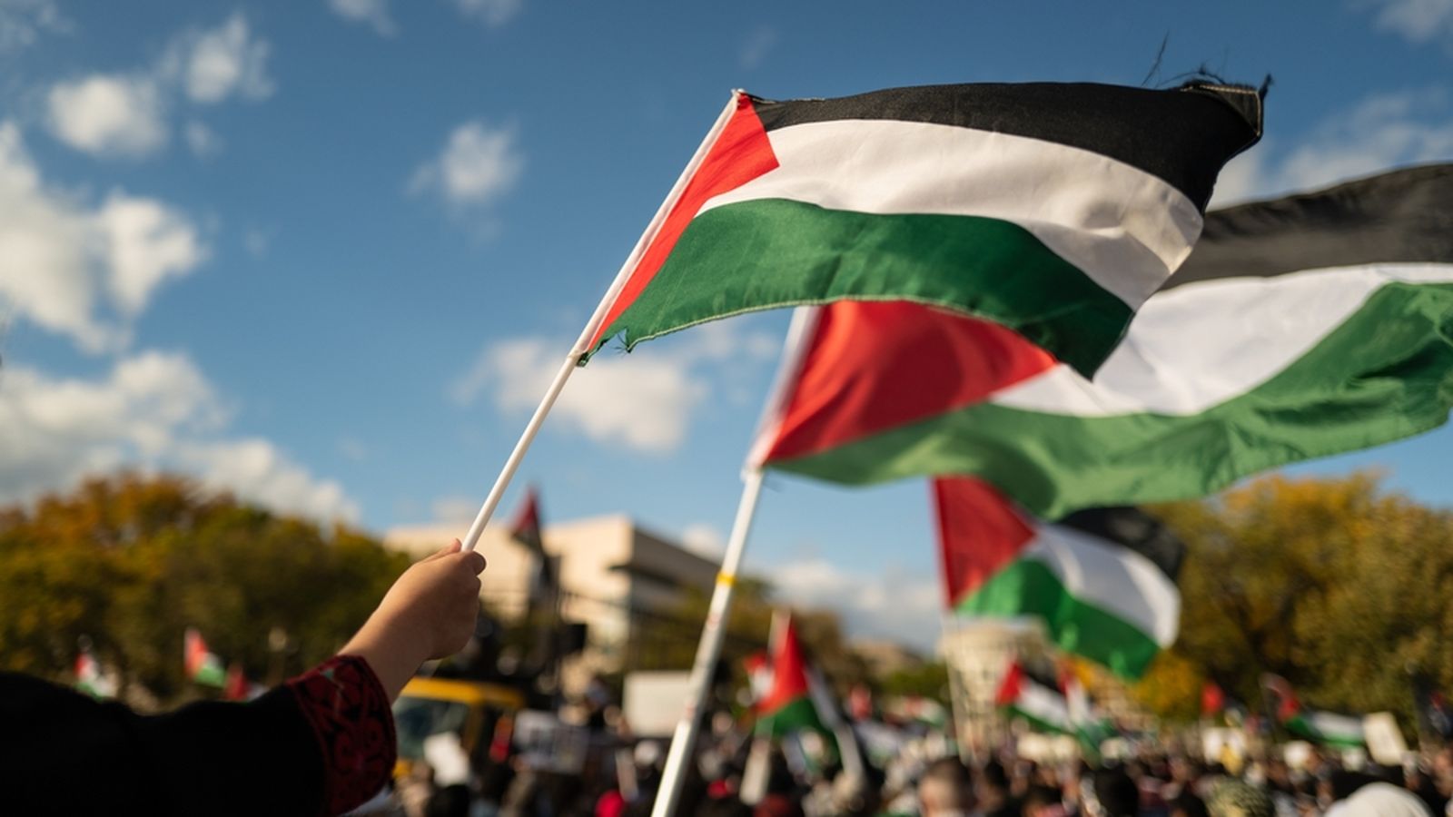 29.11.2023 | Dia de Solidaritat amb el Poble Palestí en "Gent que suma"