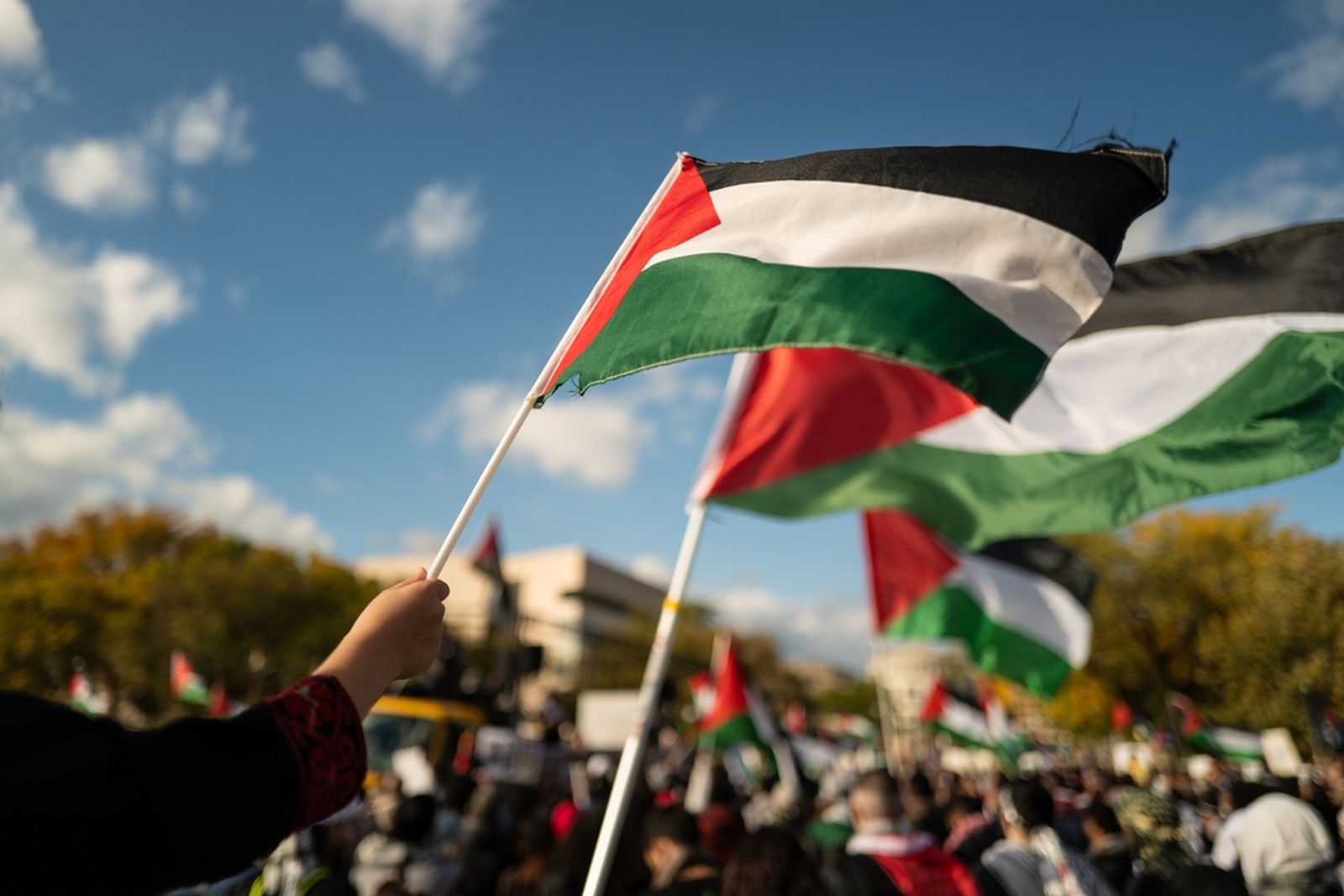 29.11.2023 | Dia de Solidaritat amb el Poble Palestí en "Gent que suma"