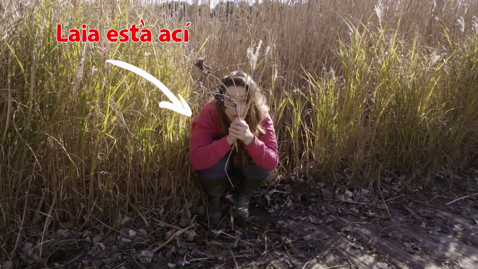 La Colla Animal | Vist i no vist